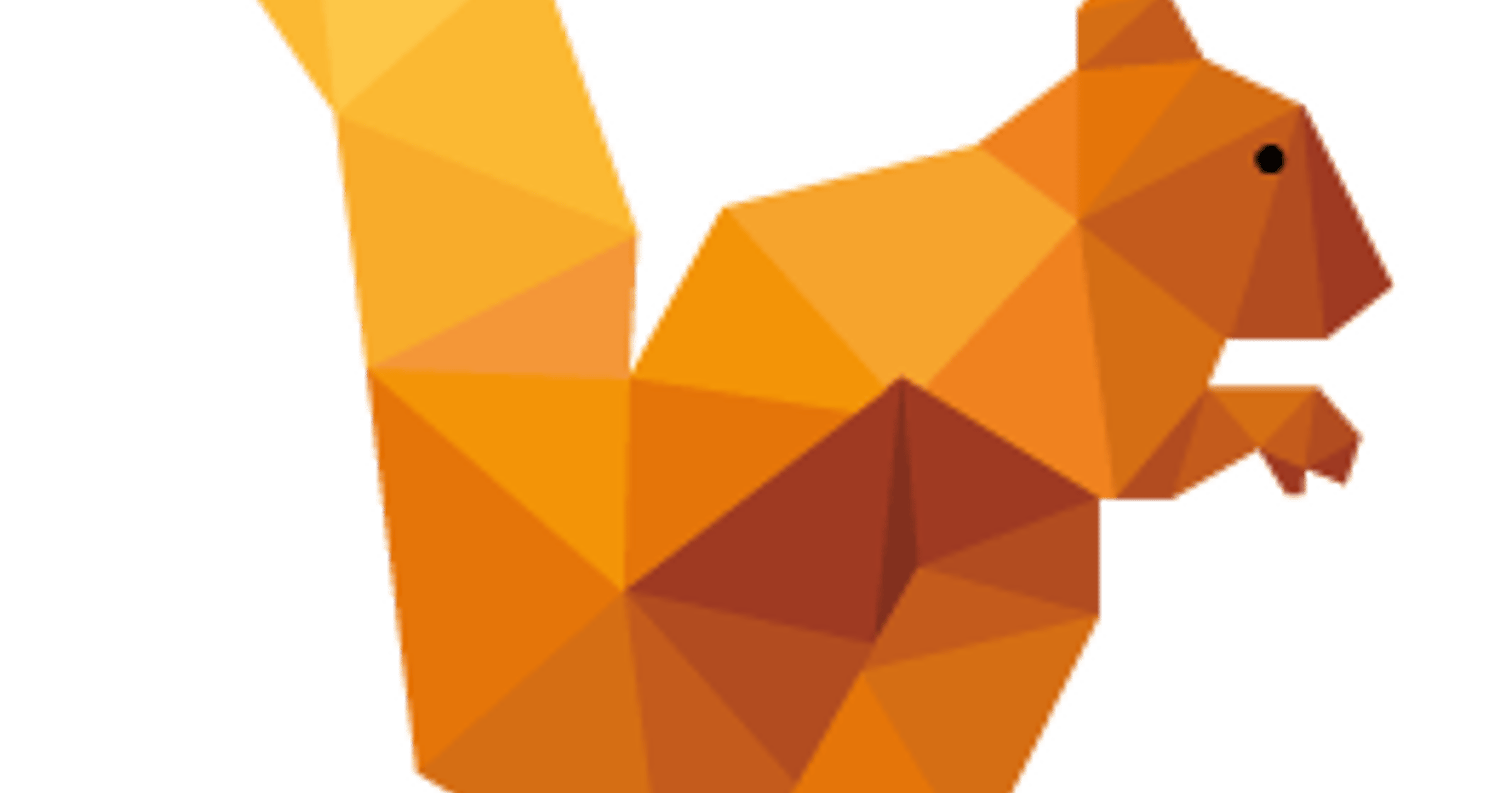 DataSquirrel.ai office